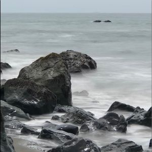 Meet your Posher, Dalycia